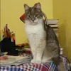 Отзыв от Ираида Дьякова